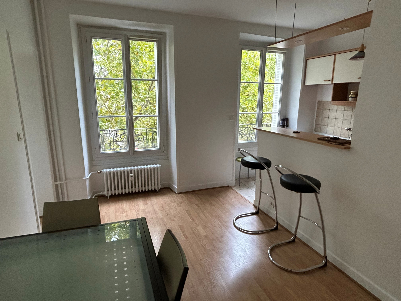 Image_, Appartement, Paris, ref :V10006965