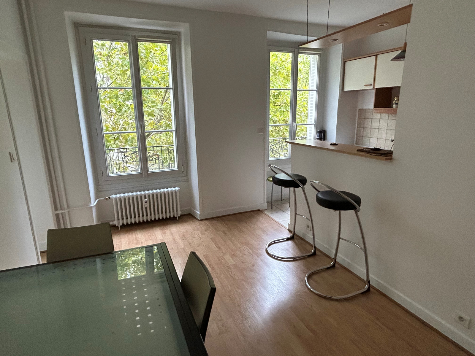 Image_, Appartement, Paris, ref :V10006965