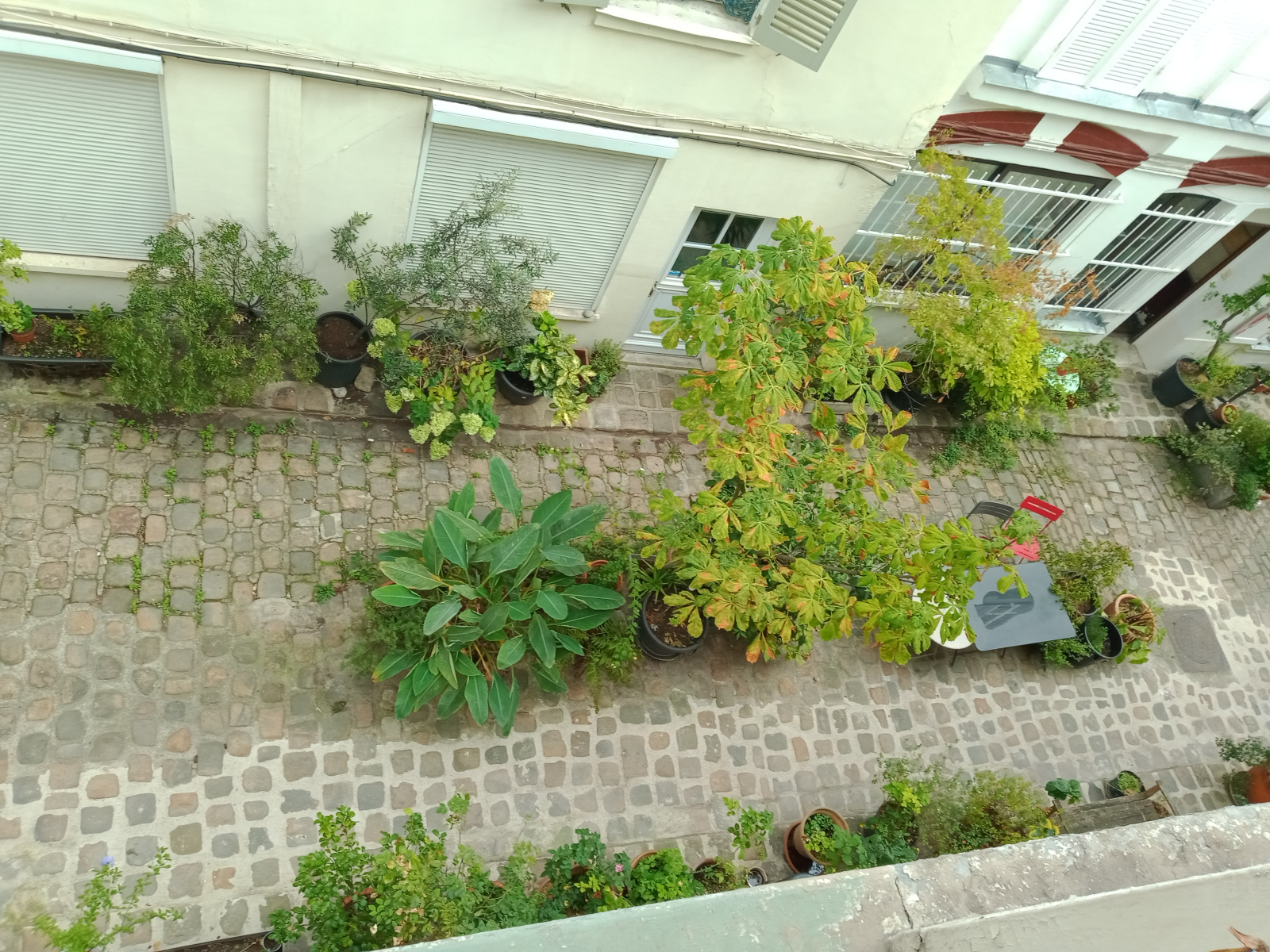 Image_, Appartement, Paris, ref :V10006979