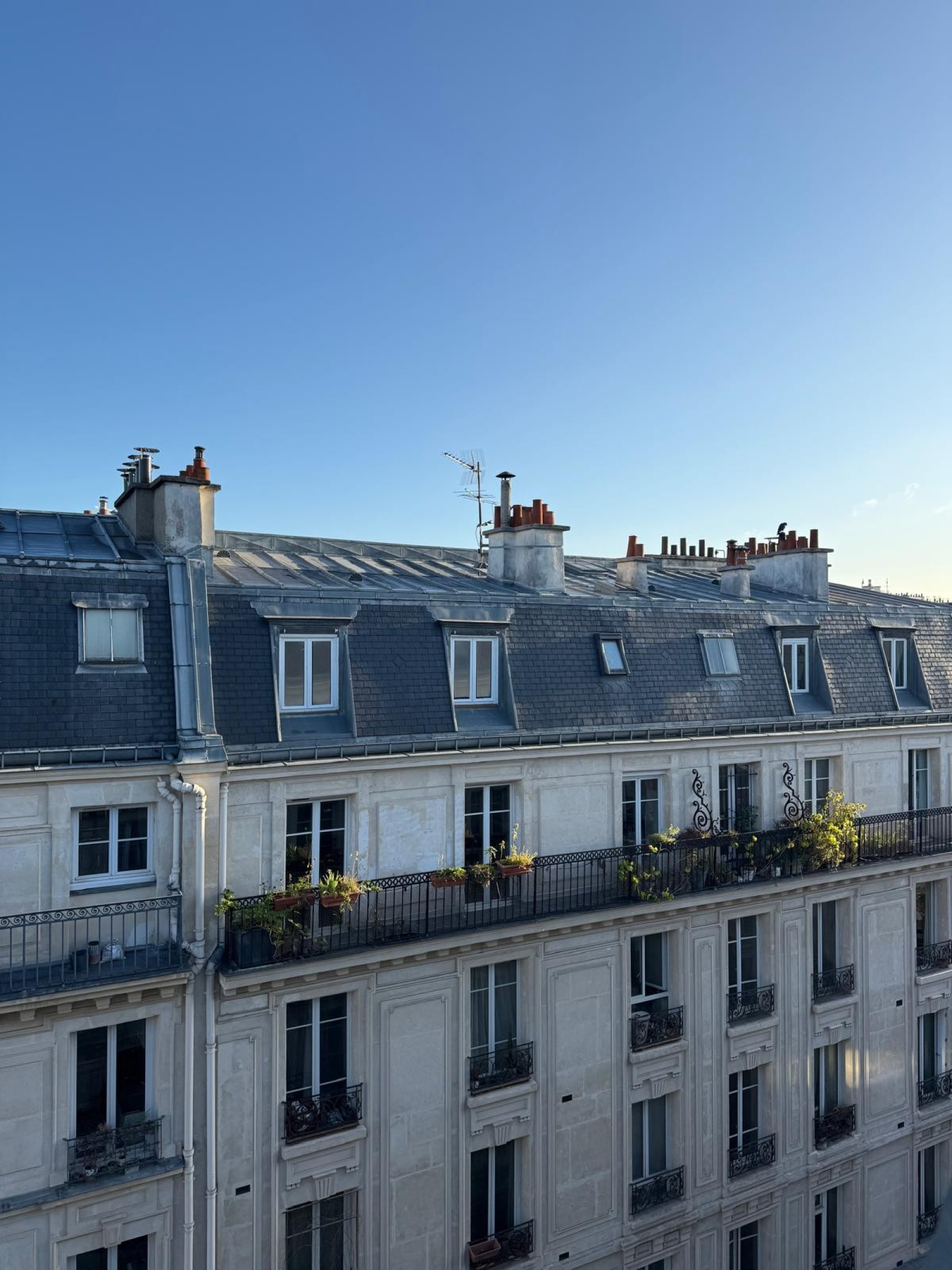 Image_, Appartement, Paris, ref :V50007507