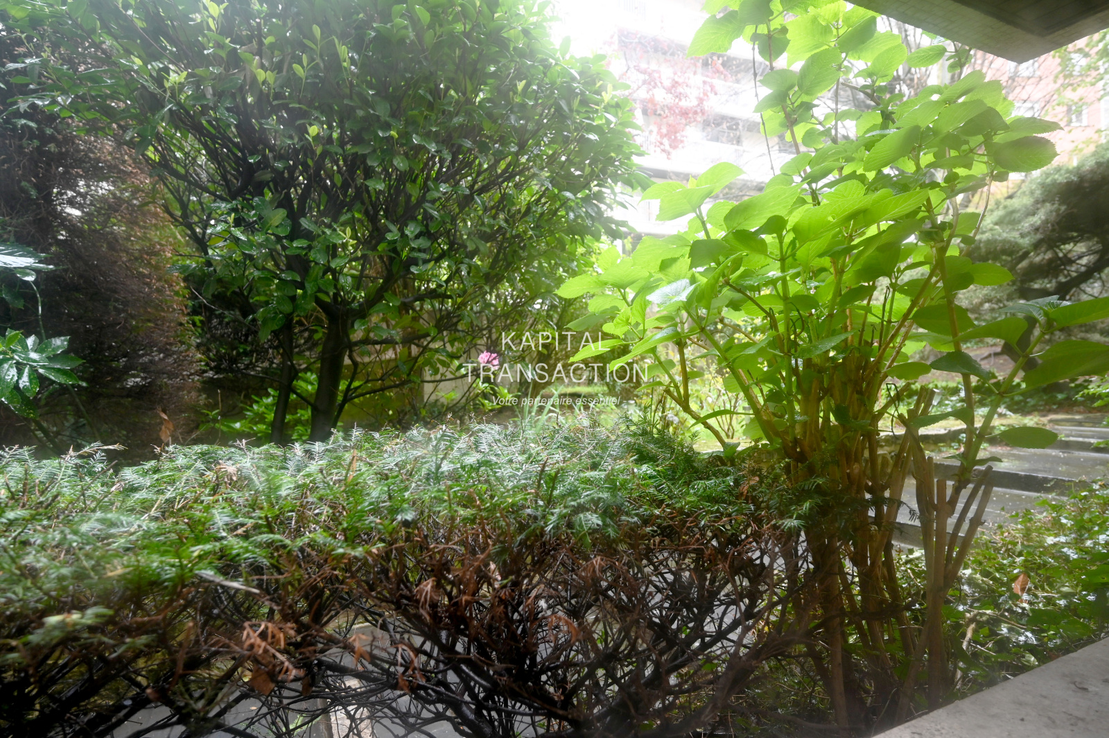 Image_, Appartement, Paris, ref :V10007255