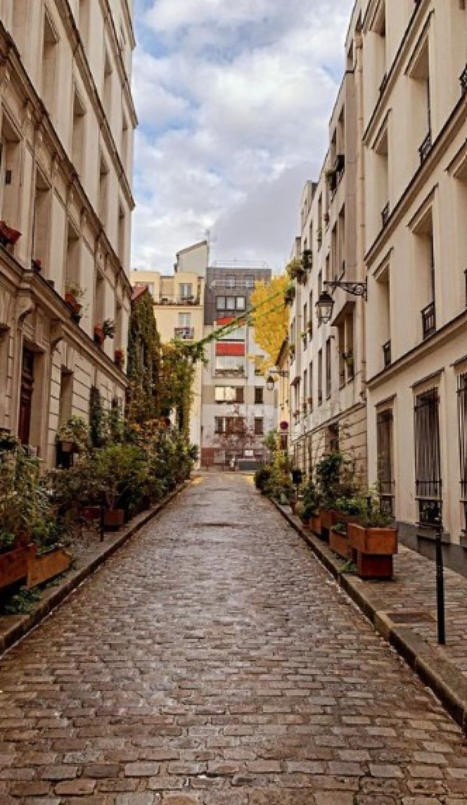 Image_, Appartement, Paris, ref :V10007068