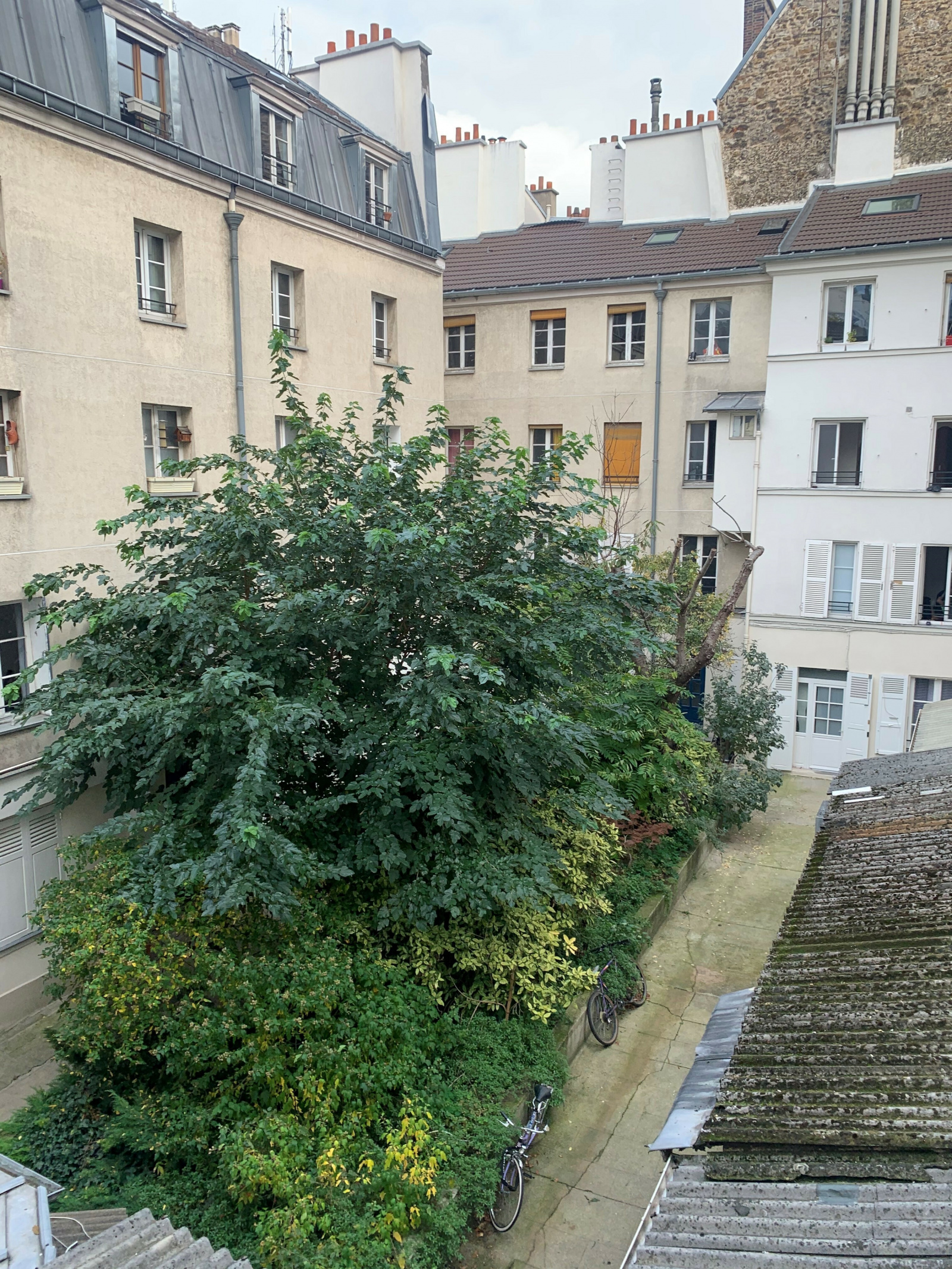 Image_, Appartement, Paris, ref :V50003982