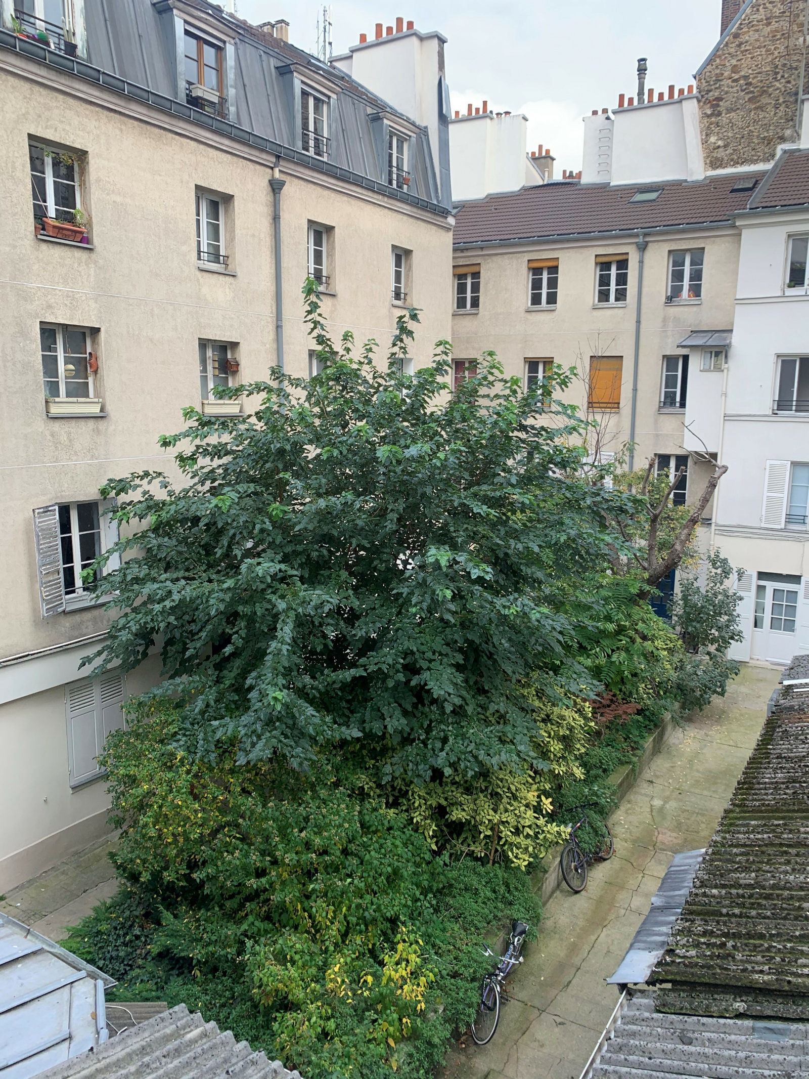 Image_, Appartement, Paris, ref :V50003982