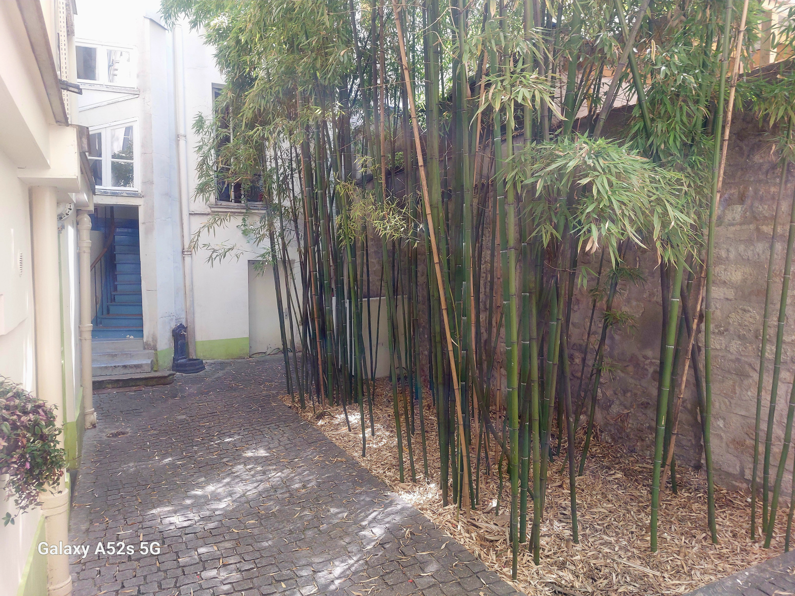 Image_, Appartement, Paris, ref :V30006838