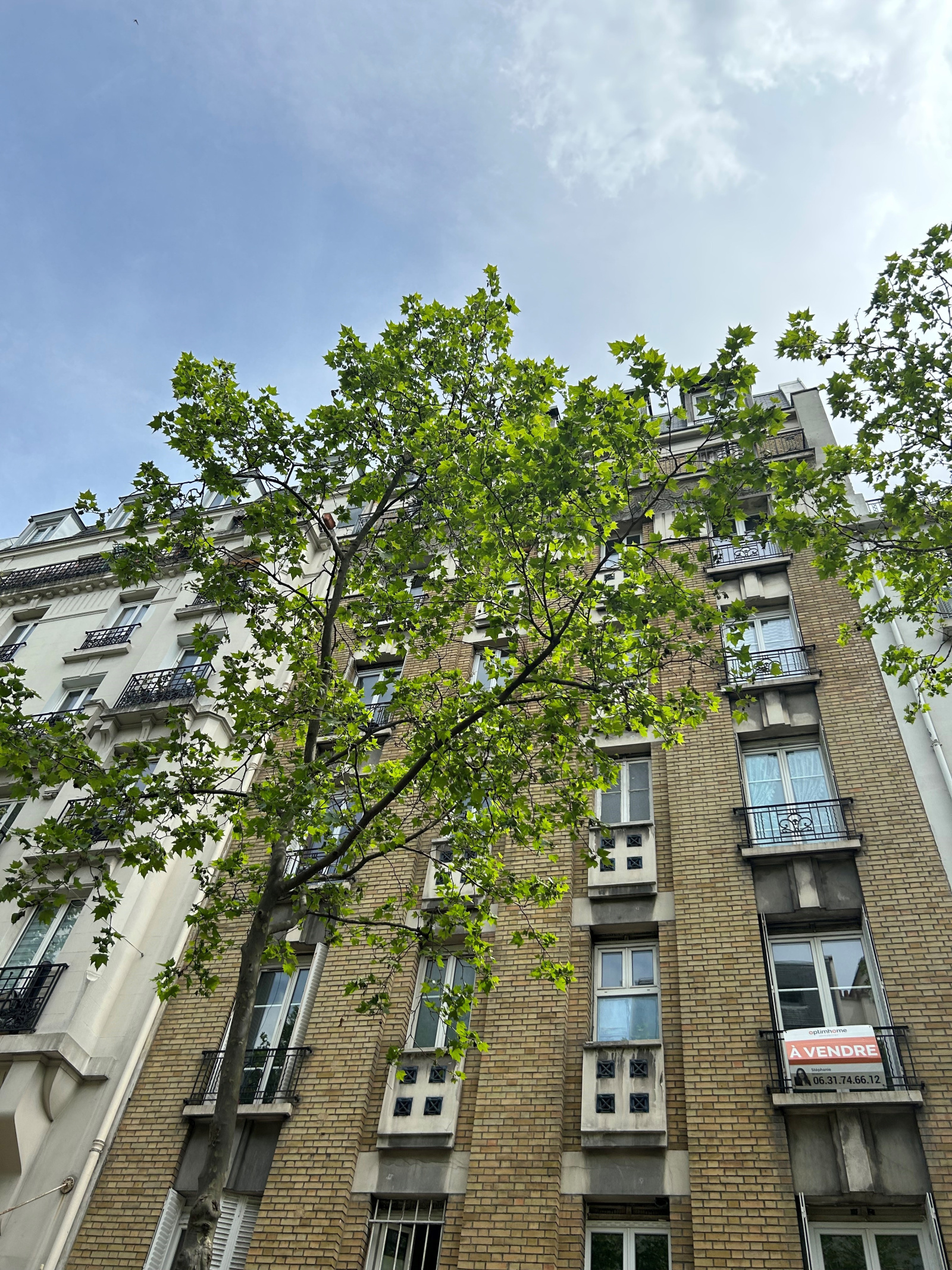 Image_, Appartement, Paris, ref :V50004913