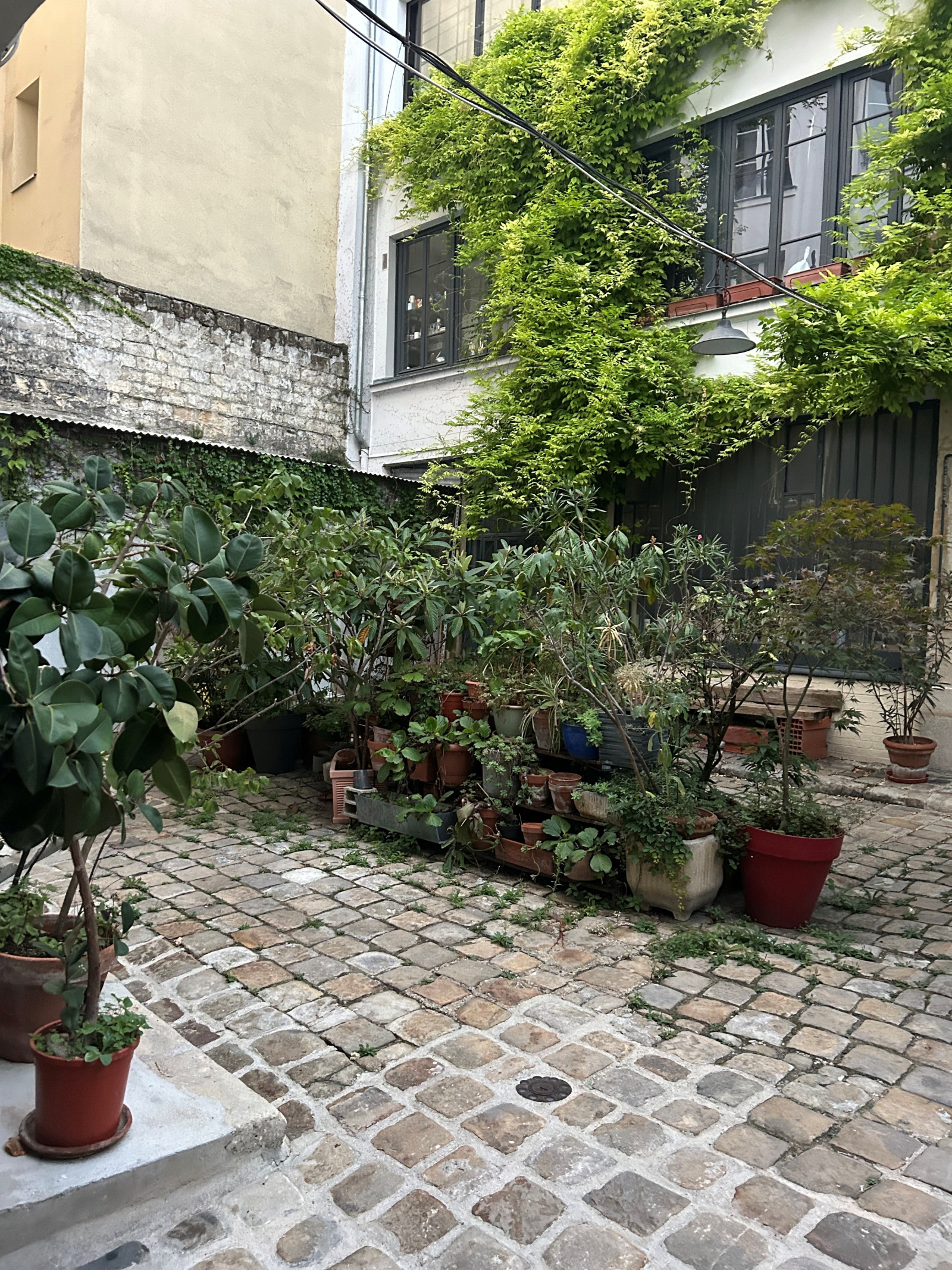 Image_, Appartement, Paris, ref :V50007488