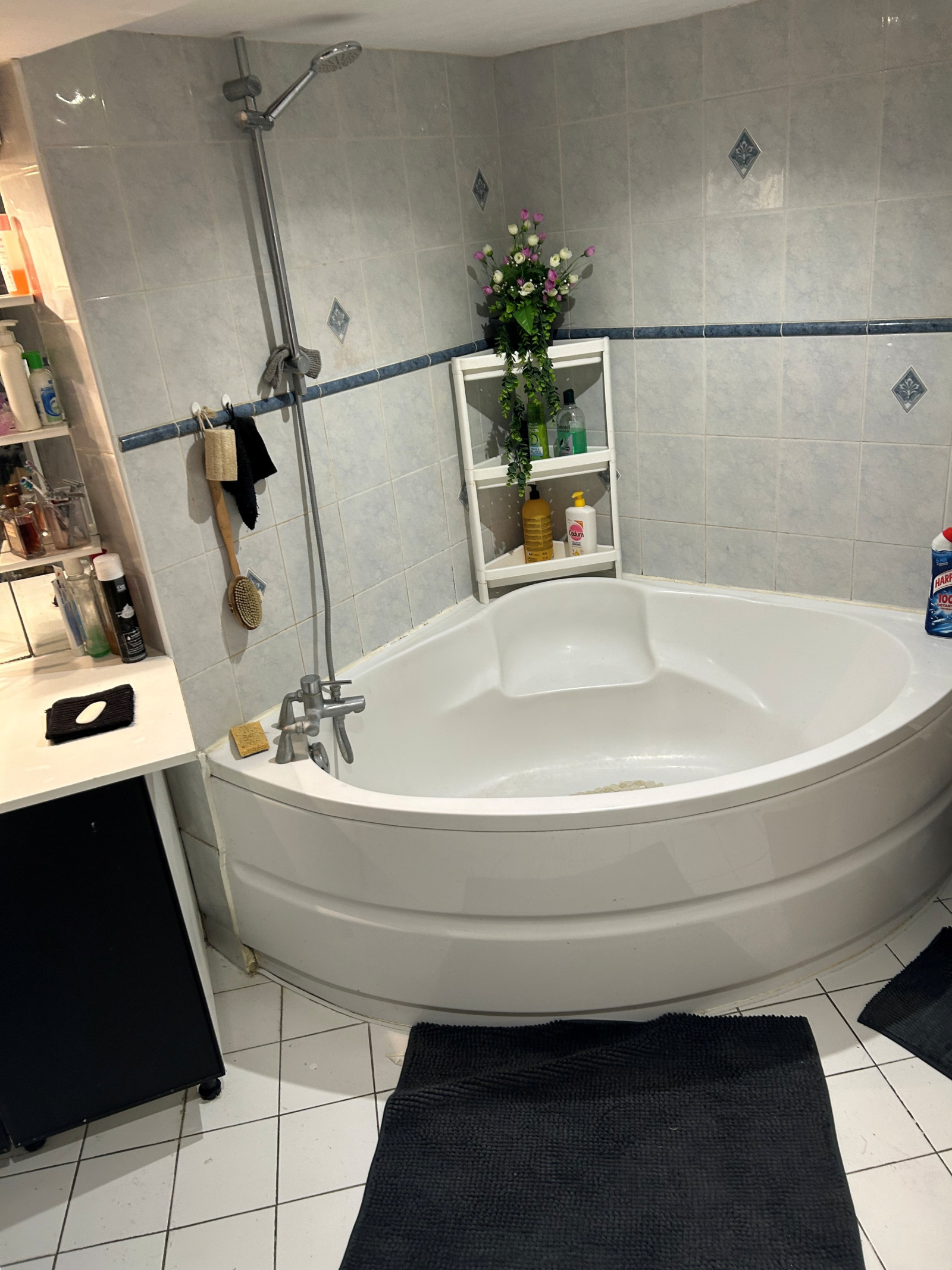 Image_, Appartement, Paris, ref :V10007117