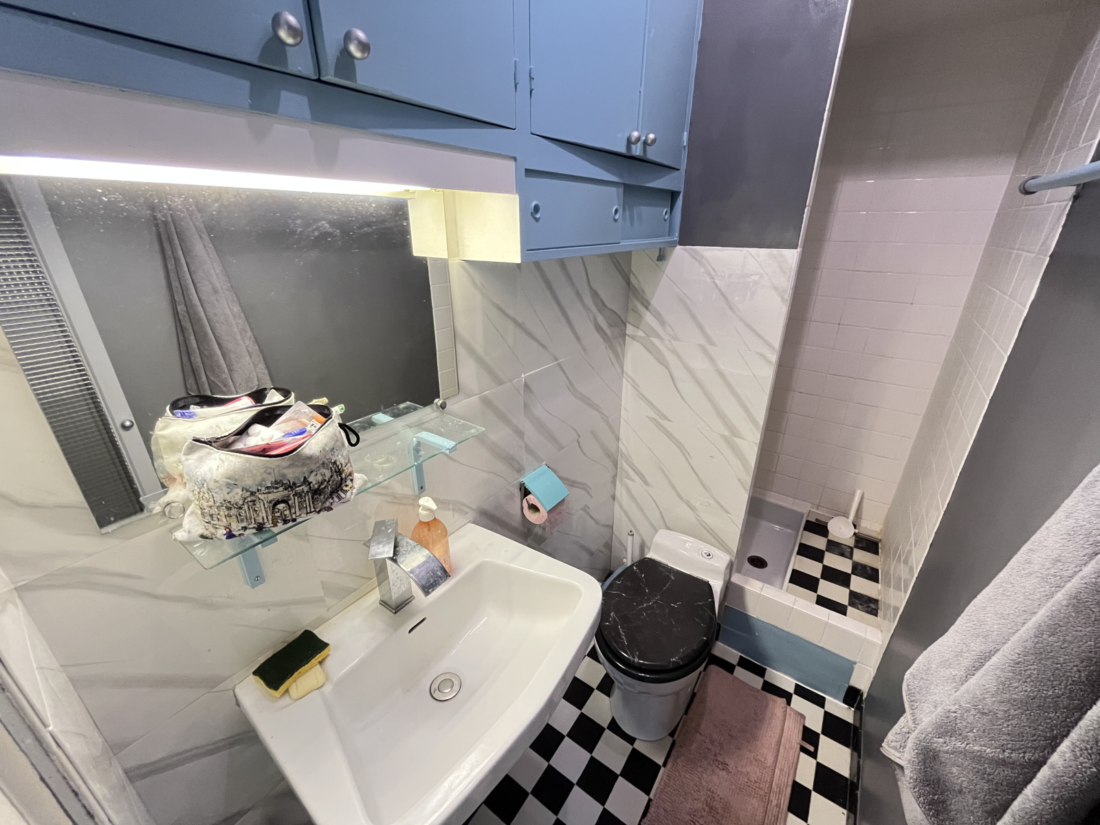 Image_, Appartement, Paris, ref :V170007519