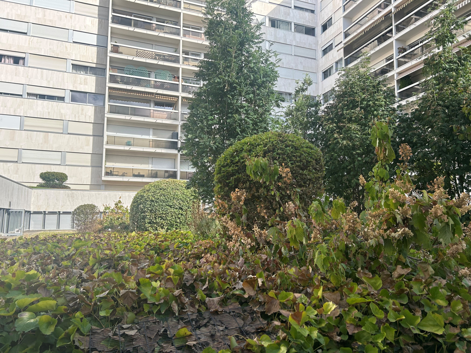 Image_, Appartement, Paris, ref :V10007408