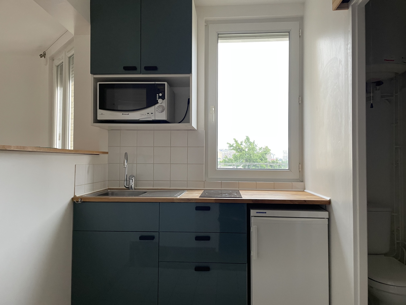 Image_, Appartement, Issy-les-Moulineaux, ref :V20003768