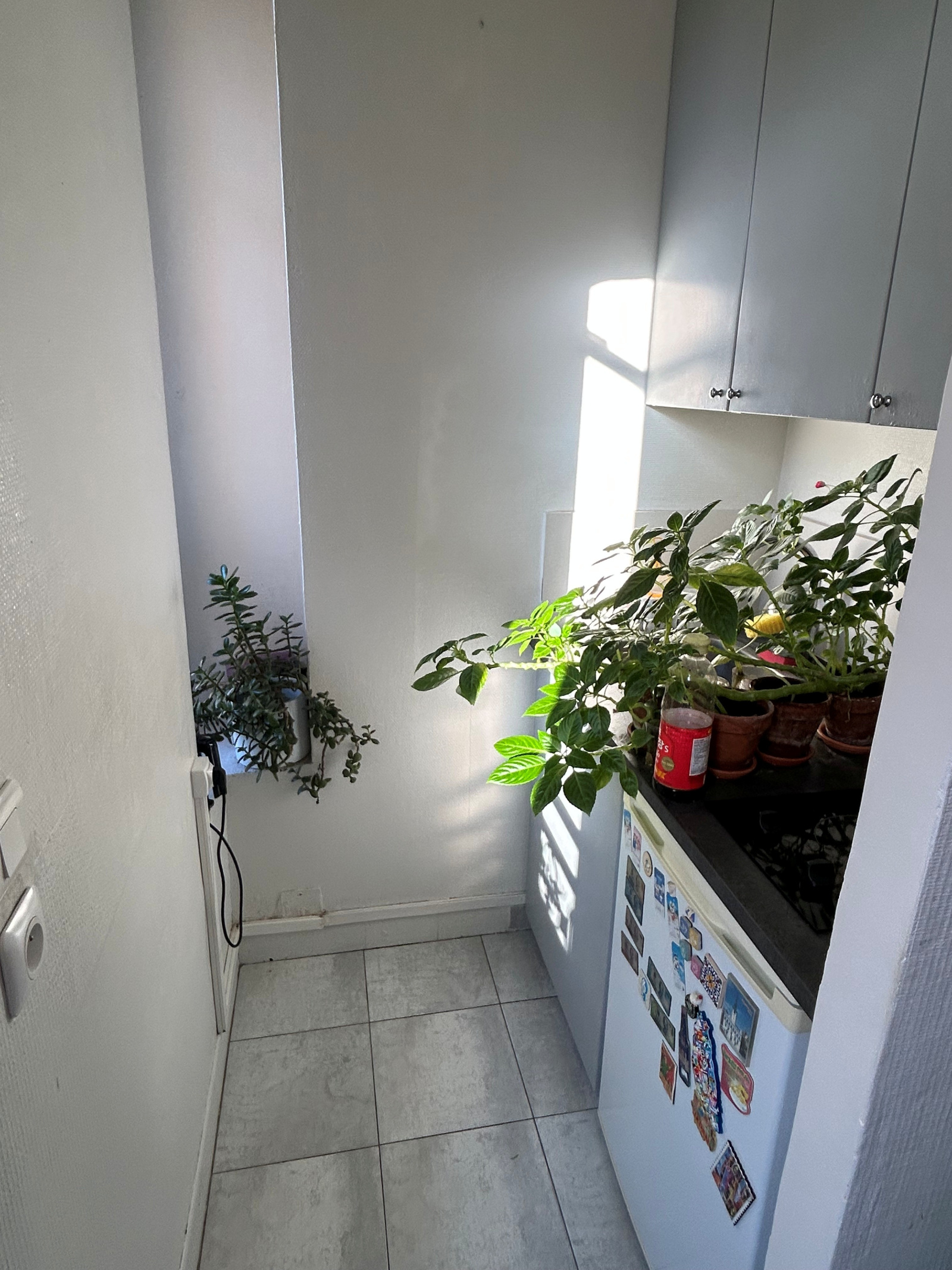 Image_, Appartement, Paris, ref :V10007047