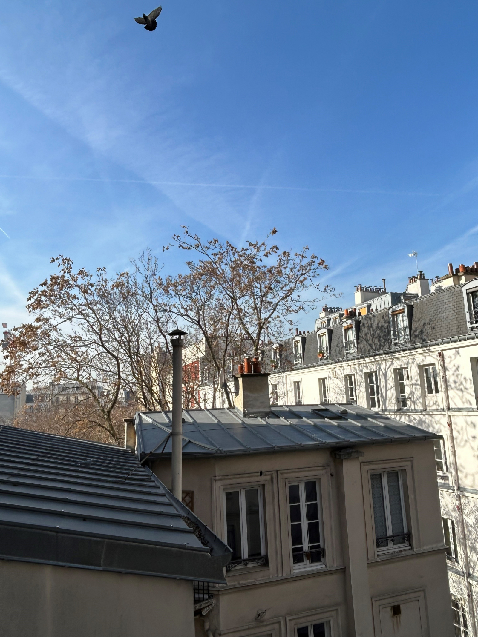 Image_, Appartement, Paris, ref :V50004785