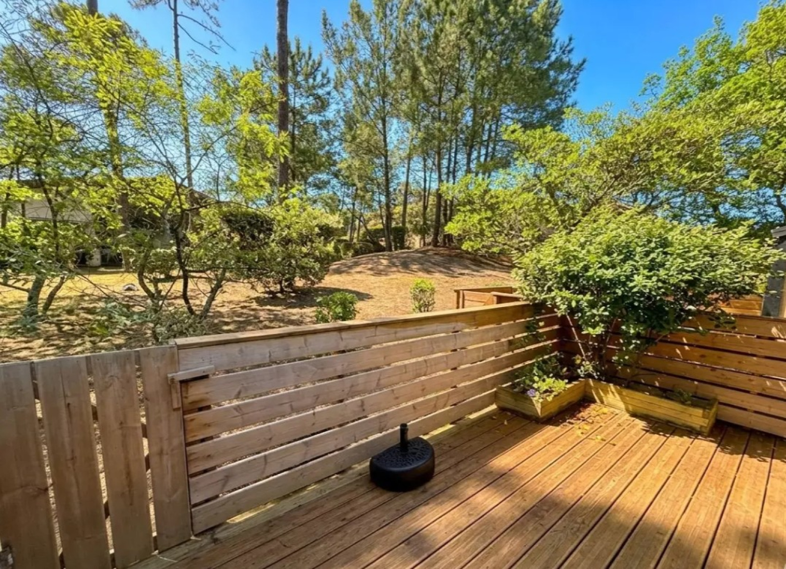 Image_, Appartement, Seignosse, ref :V10007309