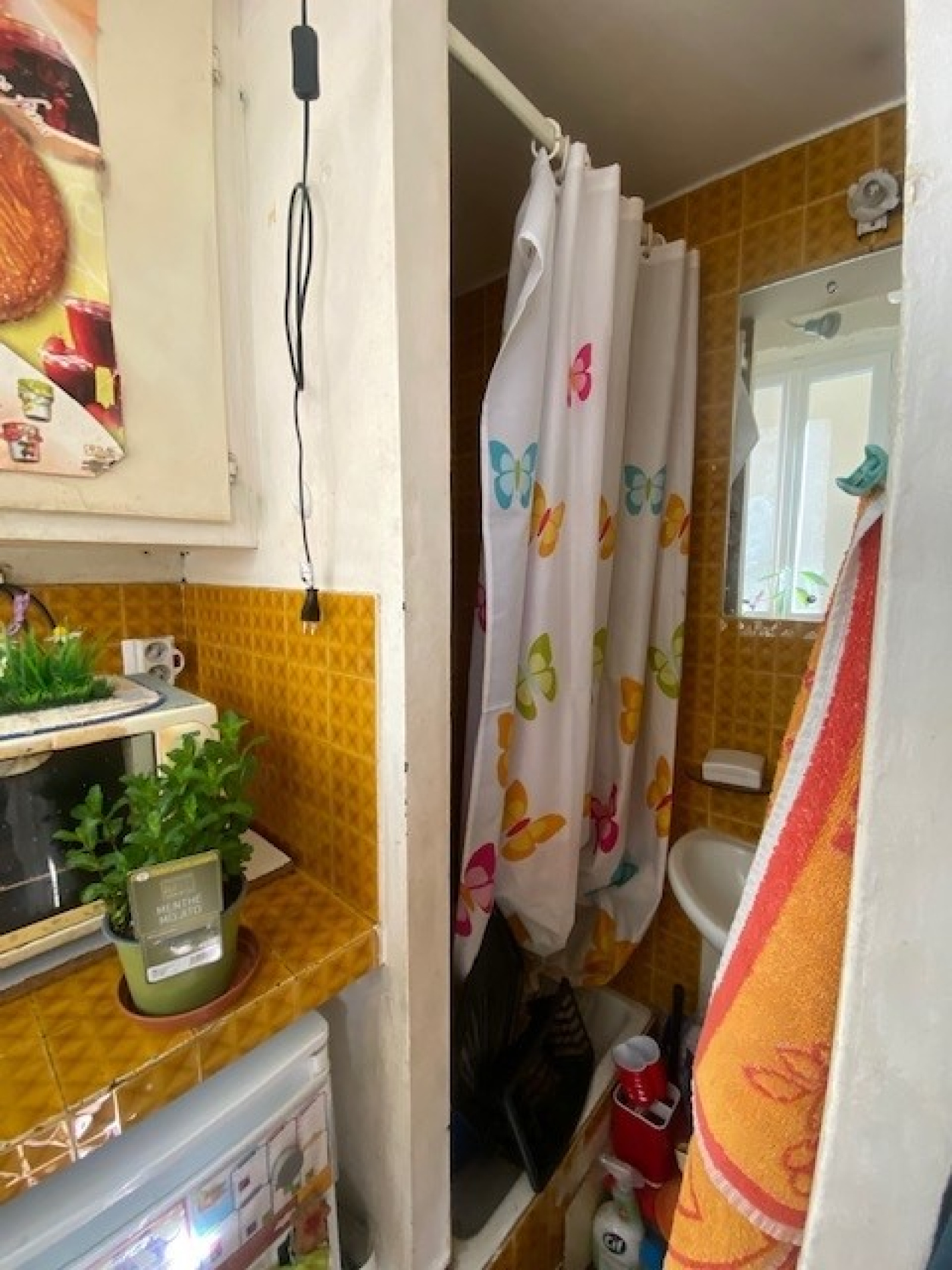 Image_, Appartement, Paris, ref :V10005381