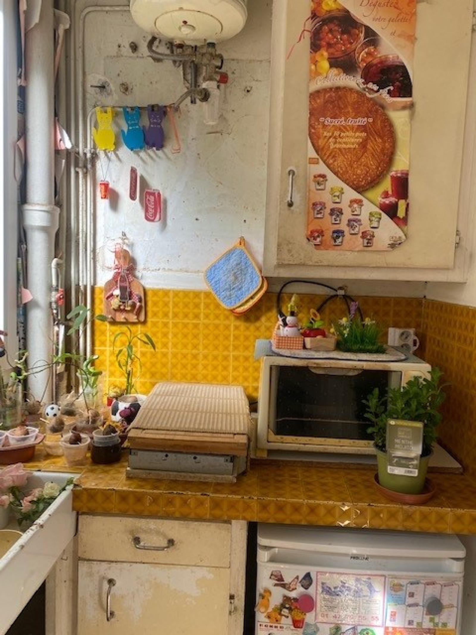 Image_, Appartement, Paris, ref :V10005381