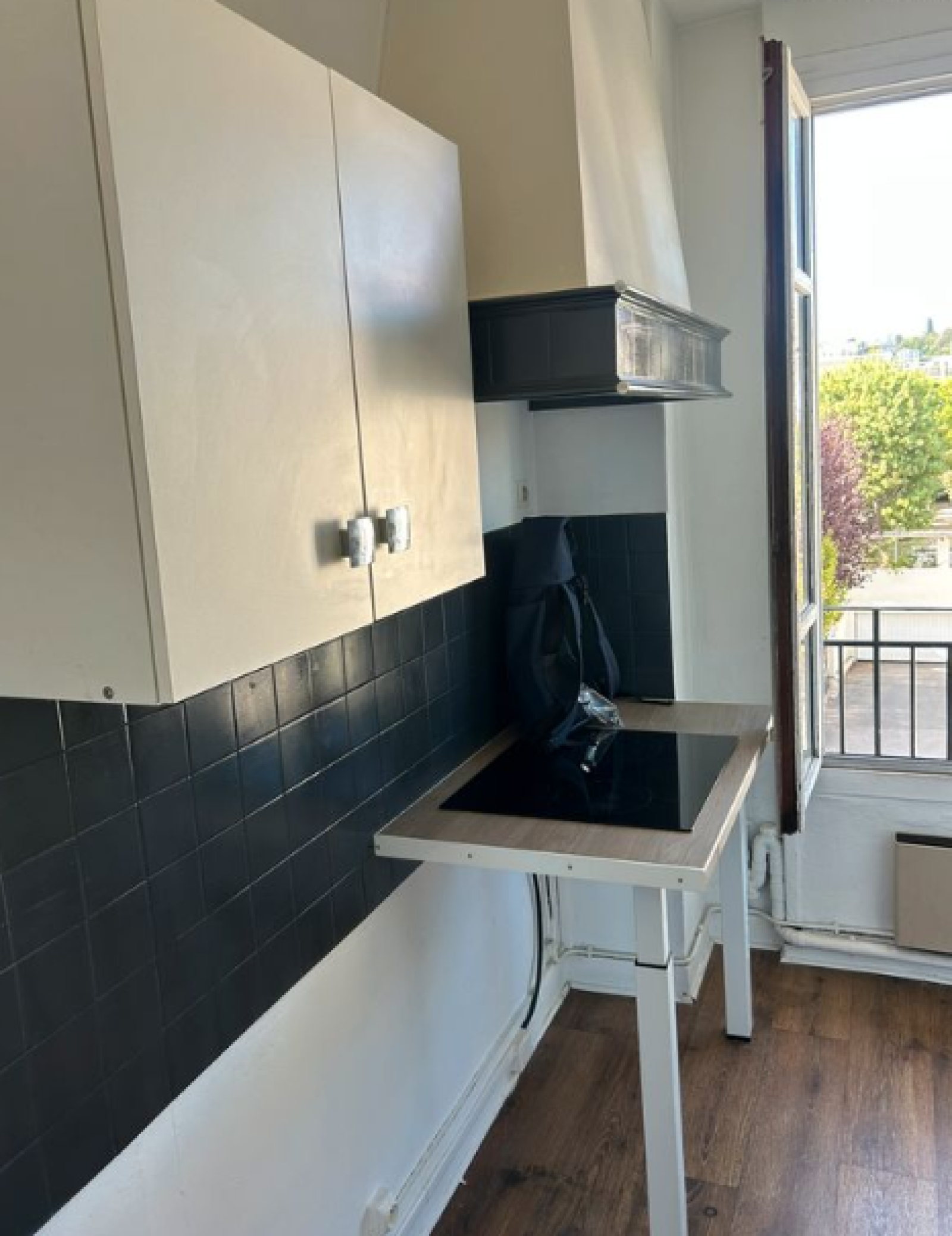 Image_, Appartement, Issy-les-Moulineaux, ref :V50007552