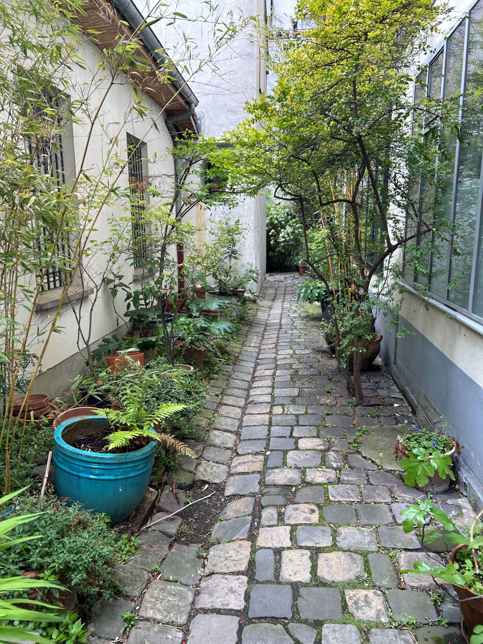 Image_, Appartement, Paris, ref :V10007257