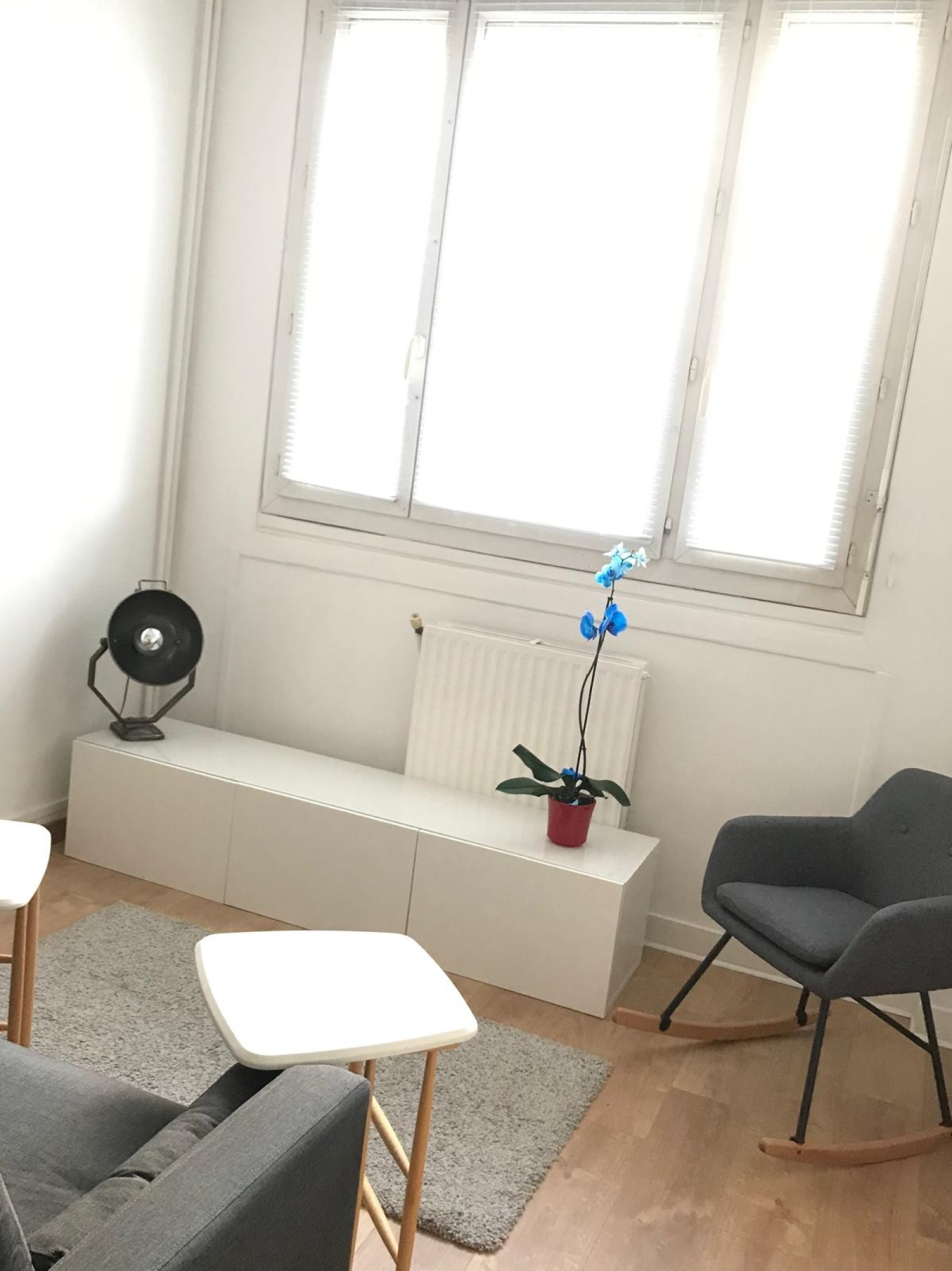 Image_, Appartement, Paris, ref :V10007041