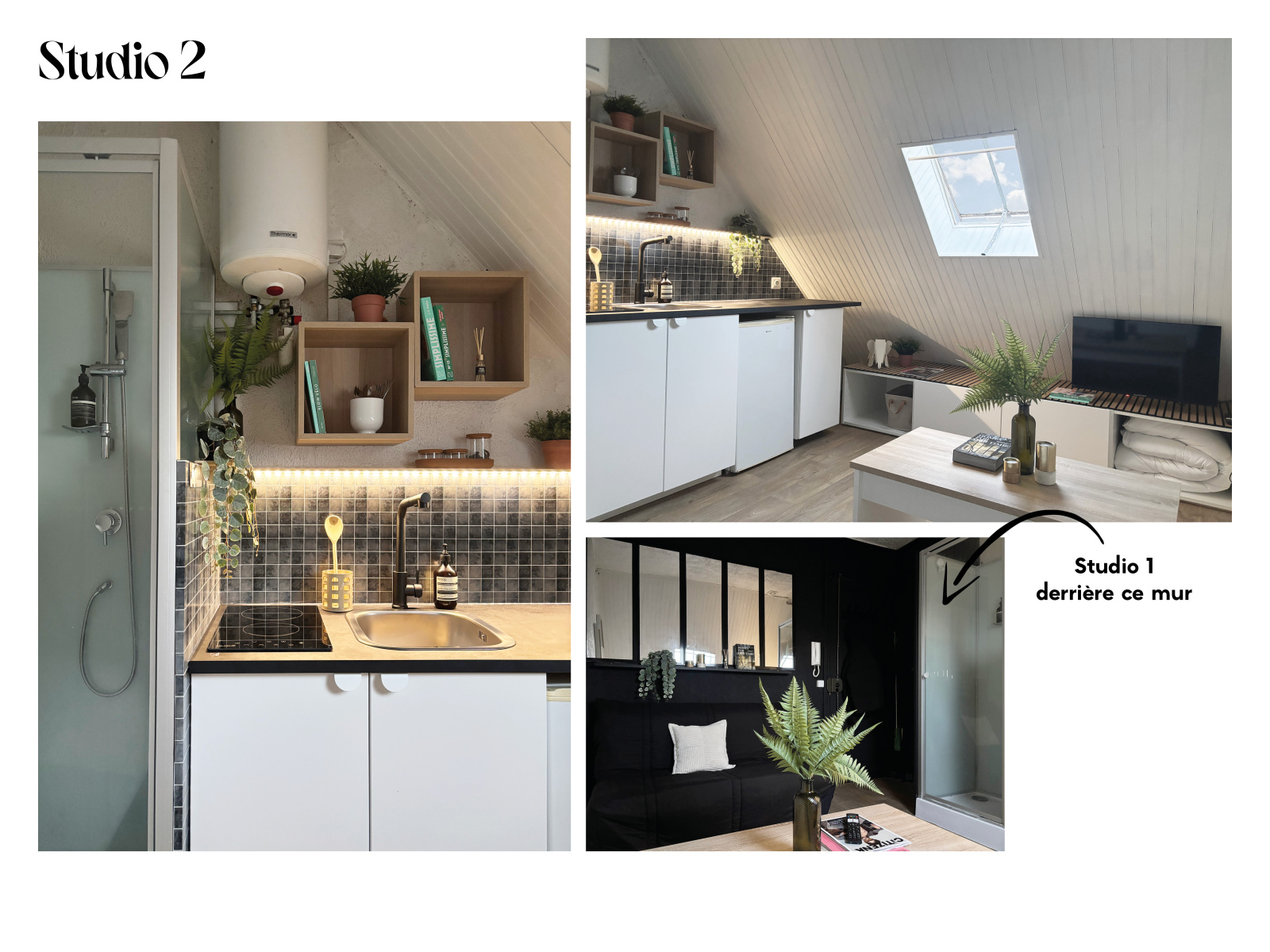 Image_, Appartement, Paris, ref :V10007178