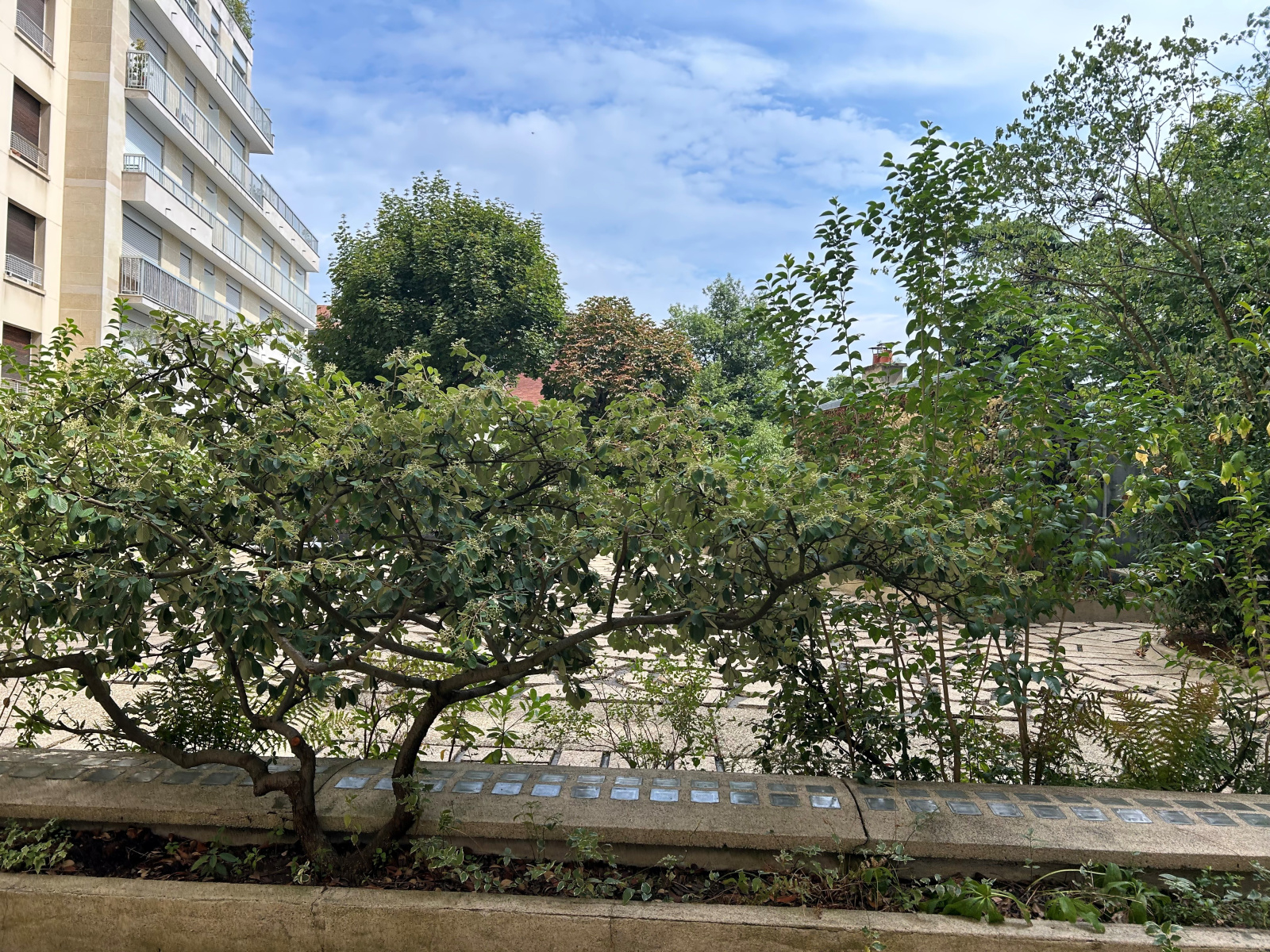Image_, Appartement, Paris, ref :V50007468