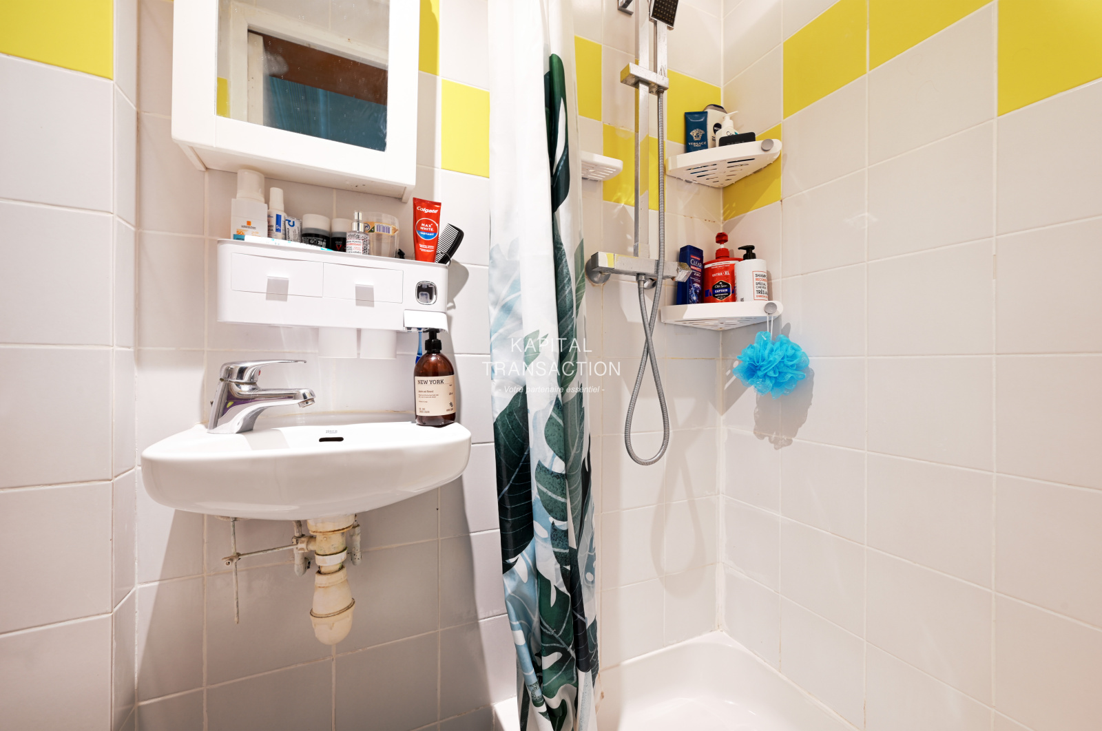 Image_, Appartement, Paris, ref :V10007306
