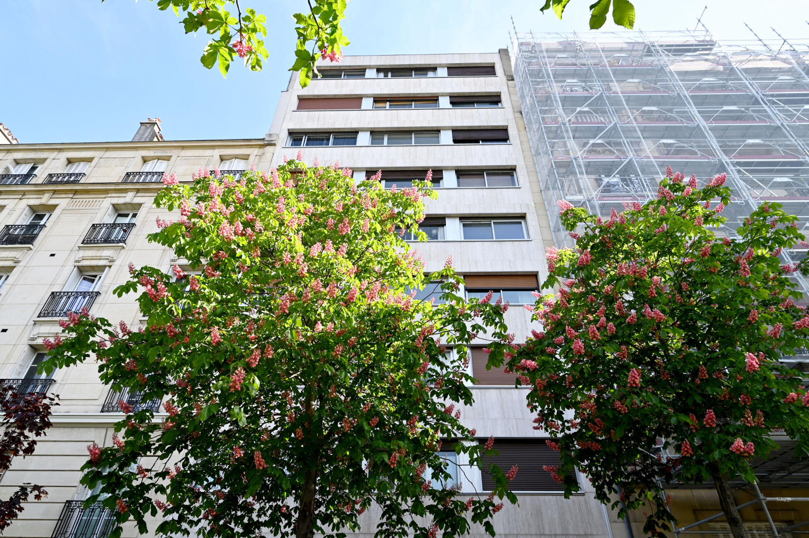 Image_, Appartement, Paris, ref :V10007066