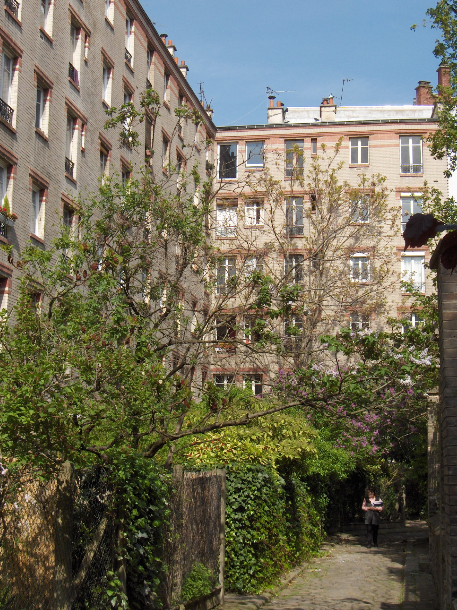 Image_, Appartement, Paris, ref :V10007123