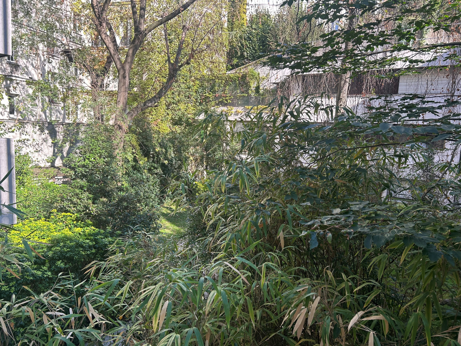 Image_, Appartement, Paris, ref :V50007532