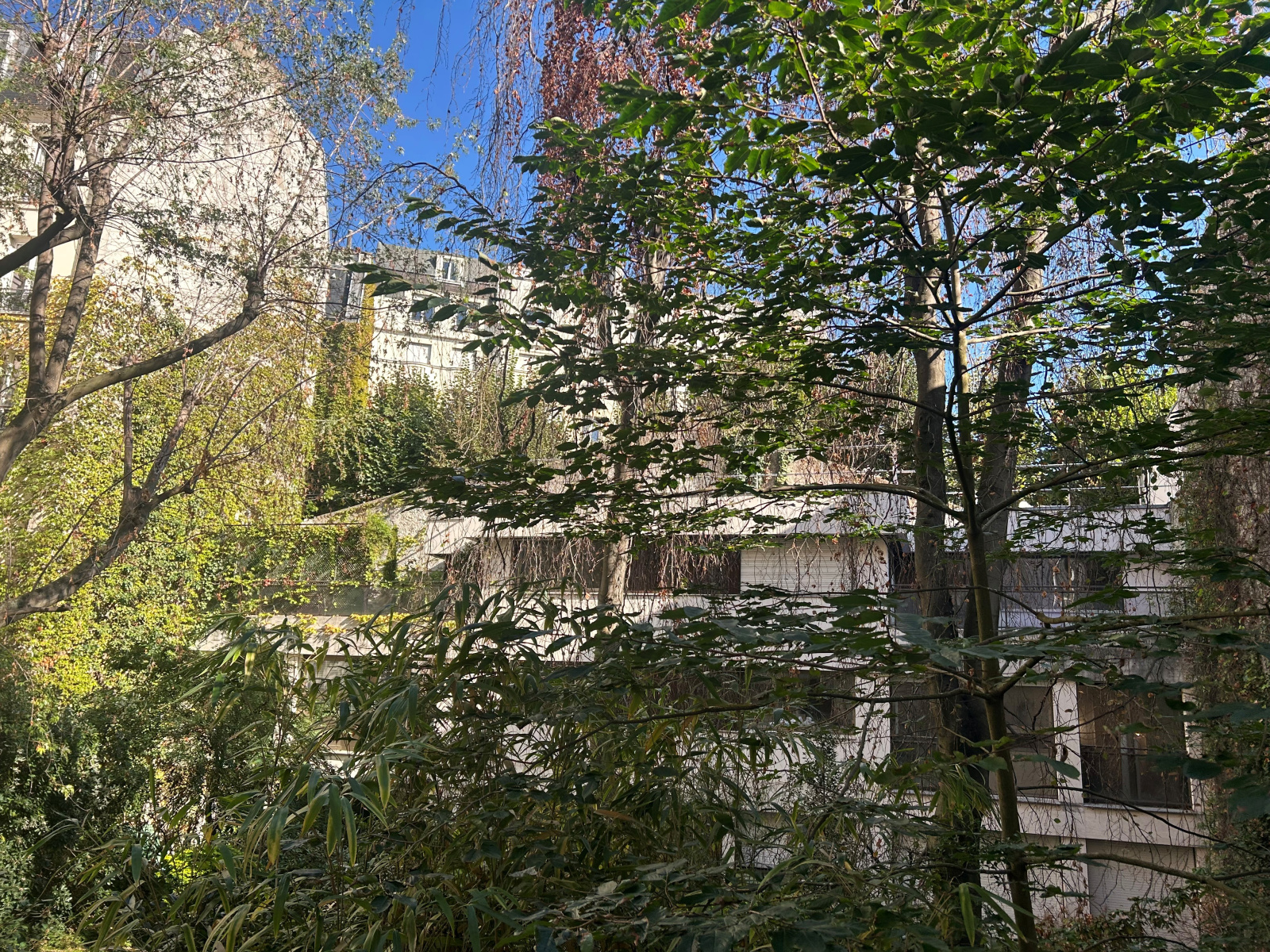 Image_, Appartement, Paris, ref :V50007532