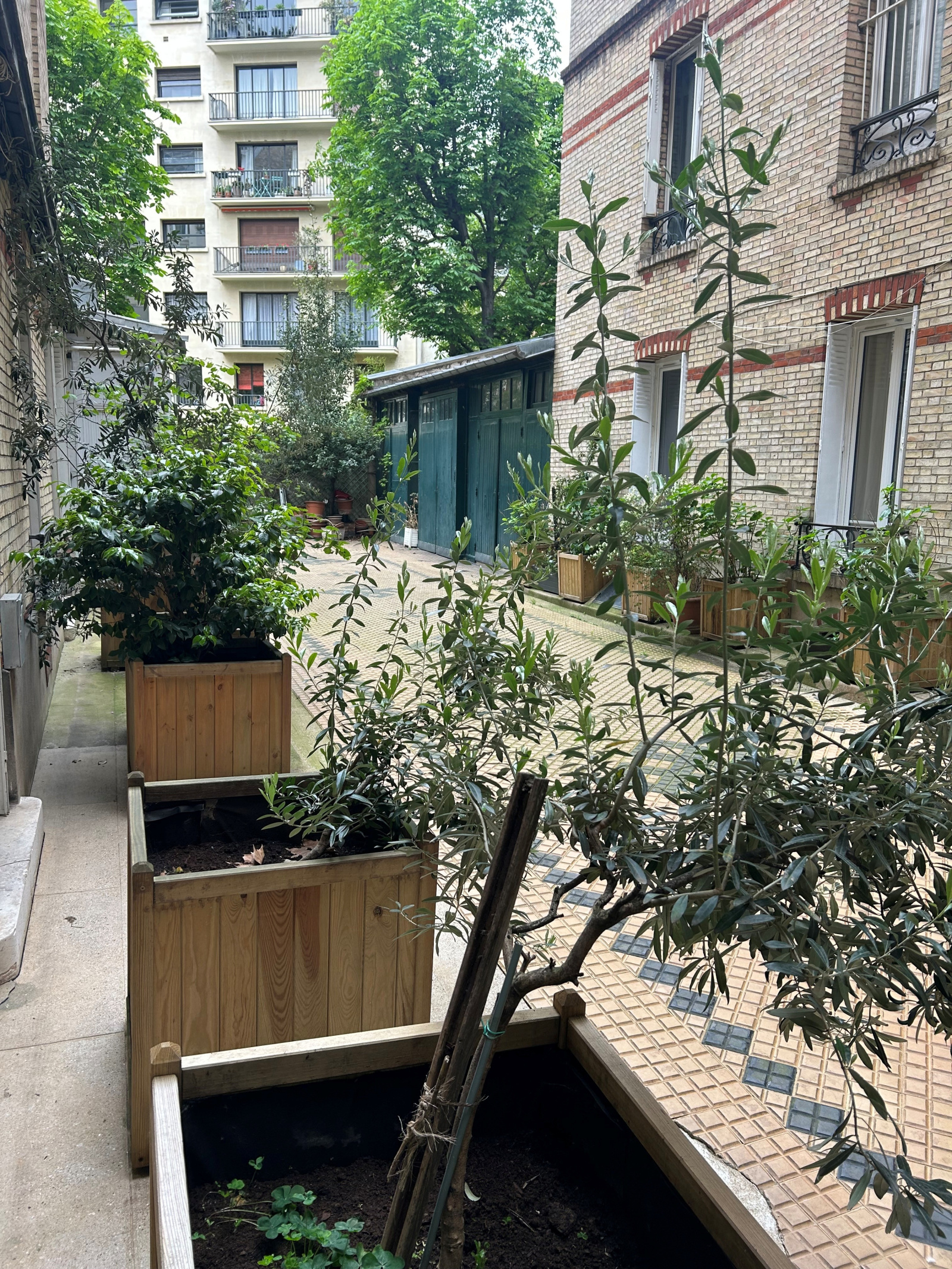 Image_, Appartement, Paris, ref :V10007289