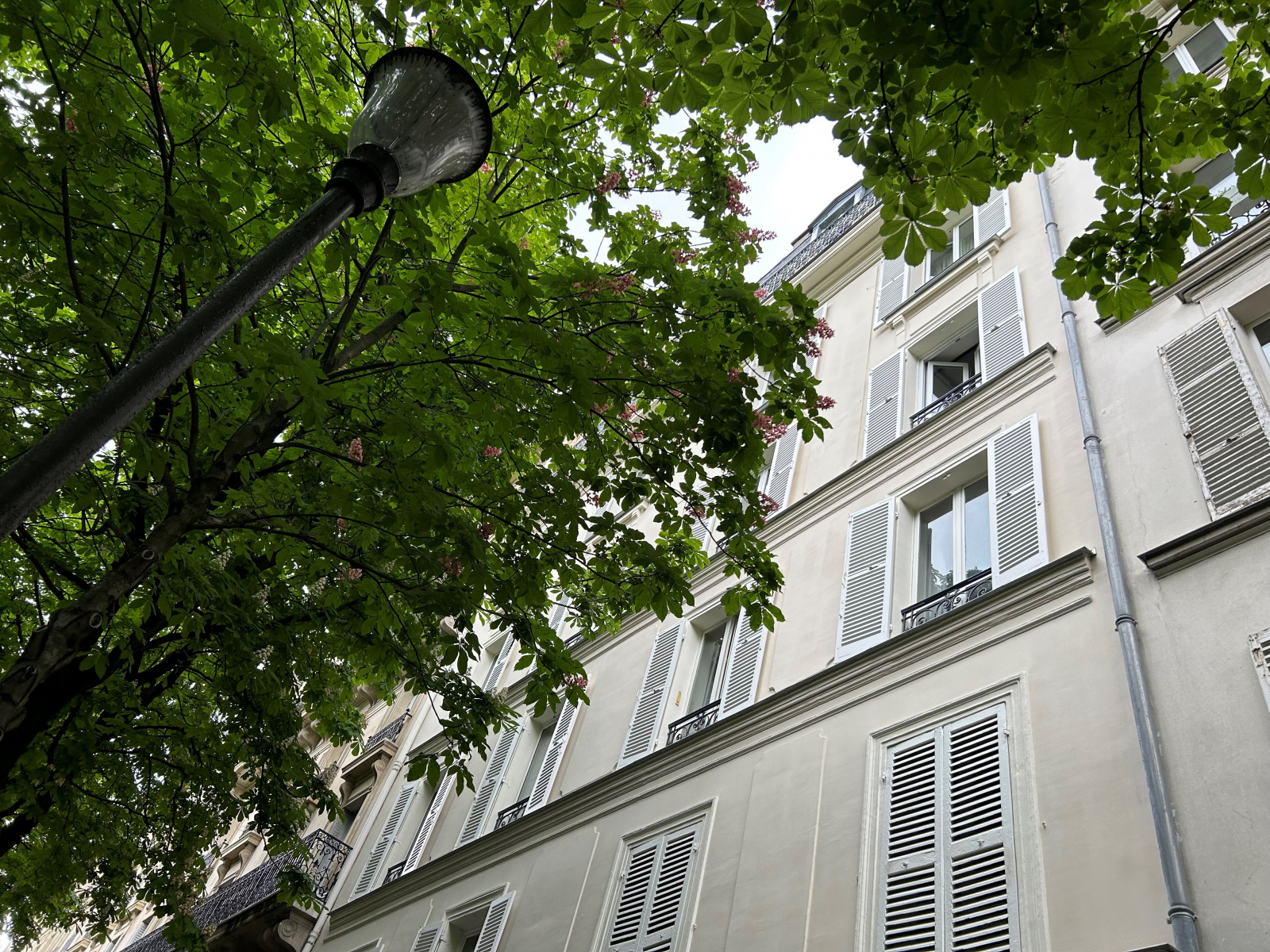 Image_, Appartement, Paris, ref :V50004901