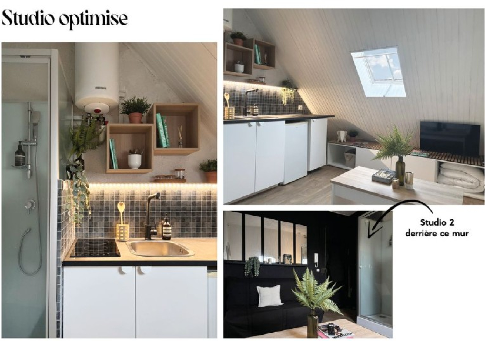 Image_, Appartement, Paris, ref :V10007203