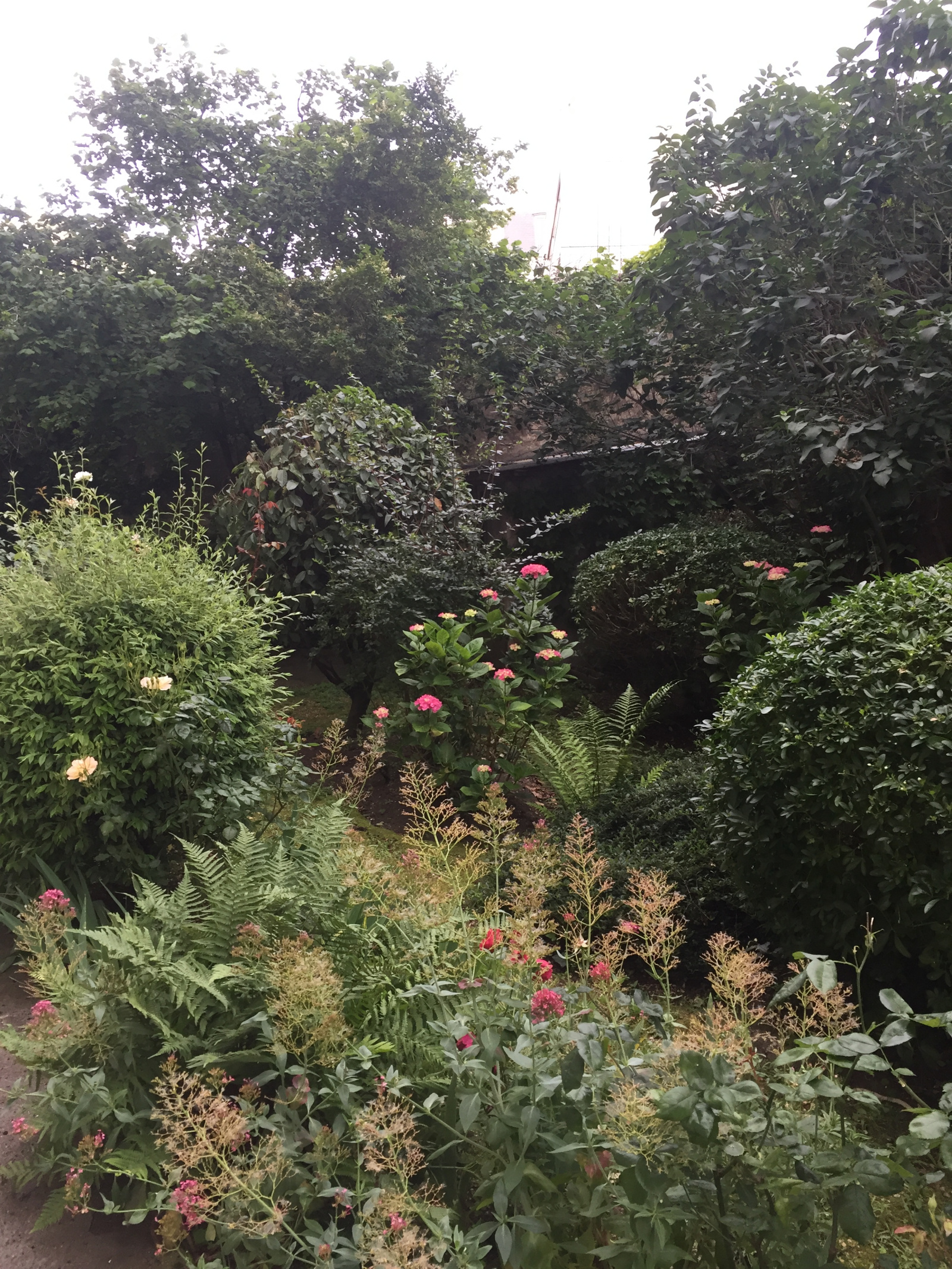 Image_, Appartement, Paris, ref :V10005954