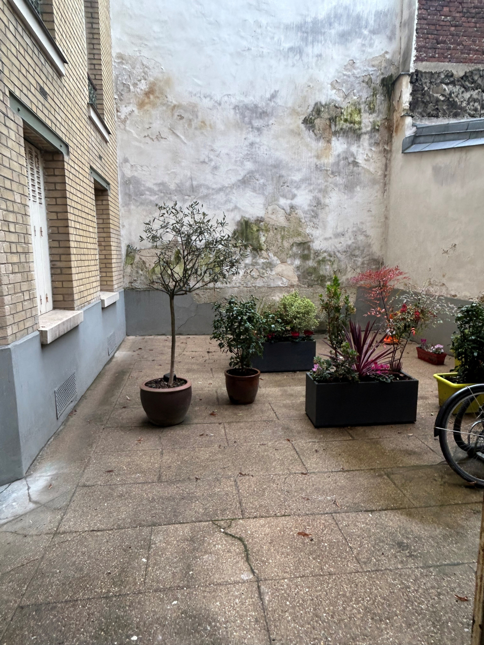 Image_, Appartement, Paris, ref :V10007088