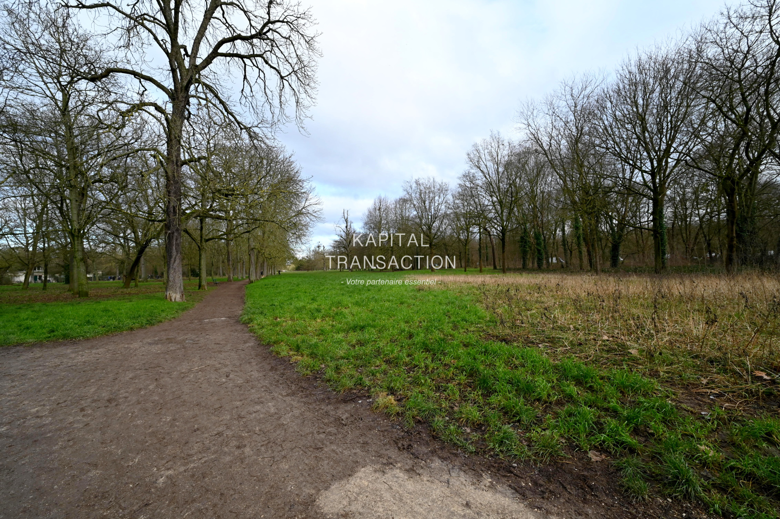 Image_, Appartement, Saint-Mandé, ref :V10007031