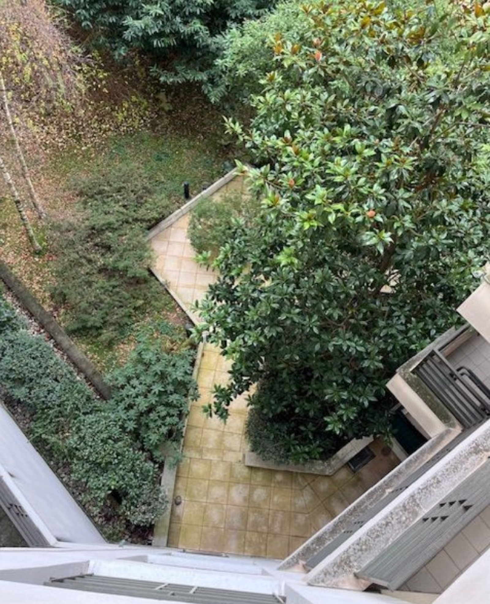 Image_, Appartement, Issy-les-Moulineaux, ref :V10007295