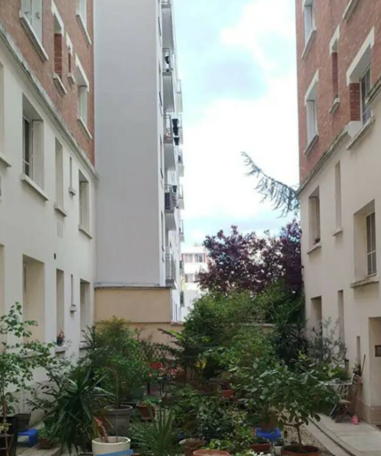 Image_, Appartement, Paris, ref :V50007539