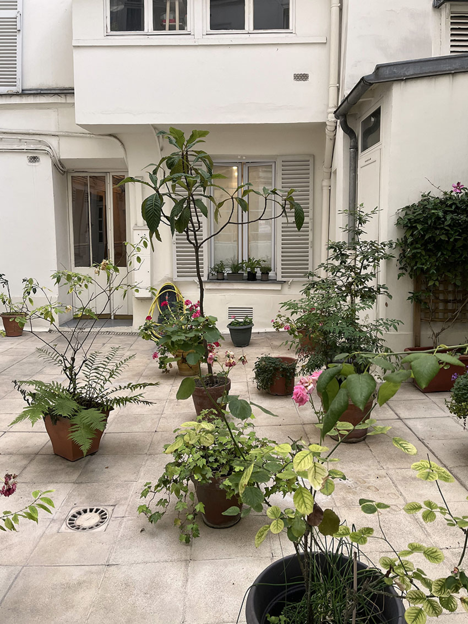 Image_, Appartement, Paris, ref :V150007376