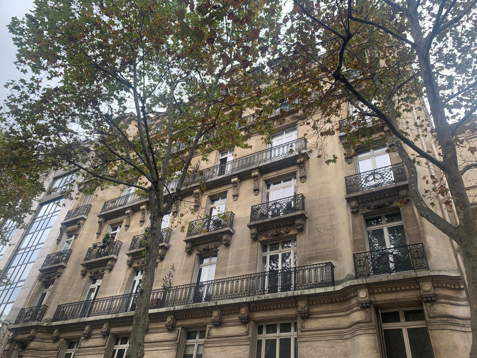 Image_, Appartement, Paris, ref :V50003894