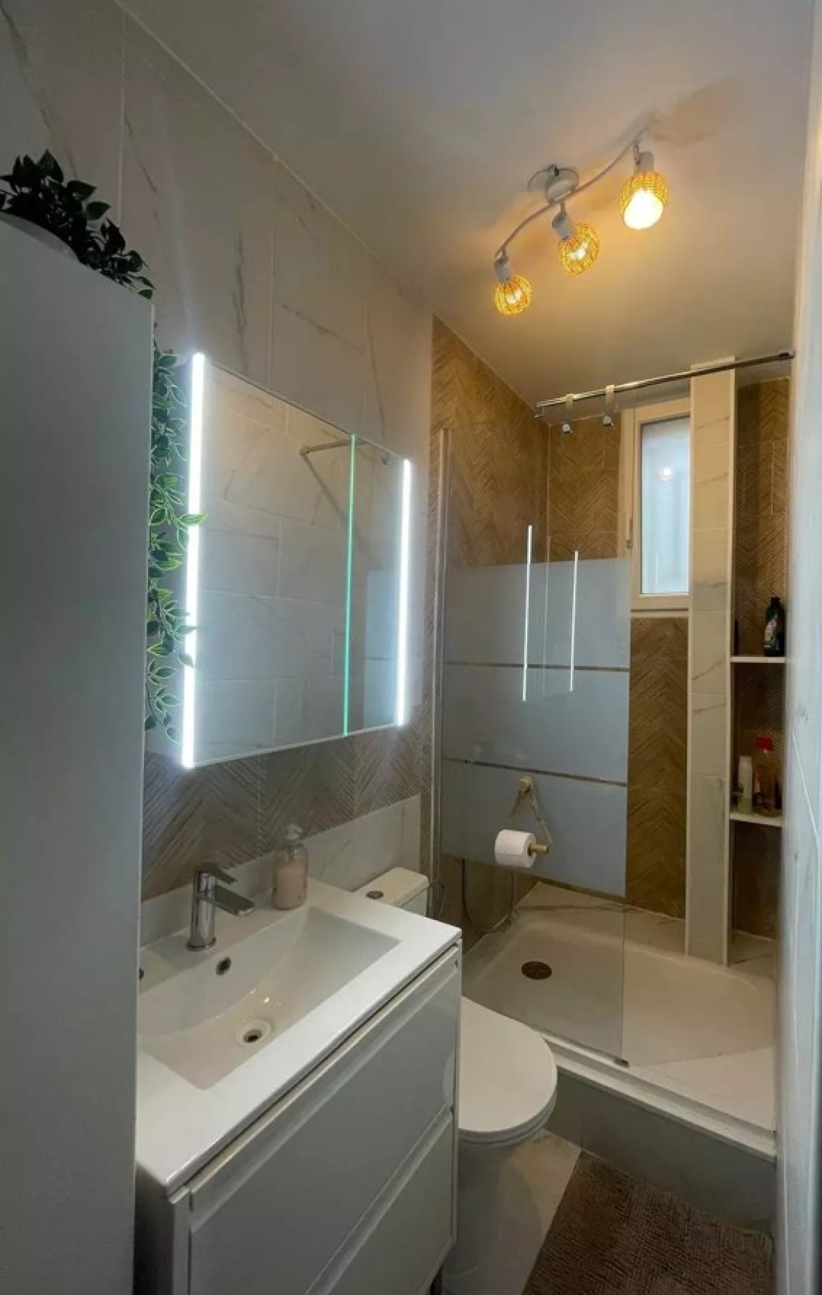 Image_, Appartement, Paris, ref :V10007282
