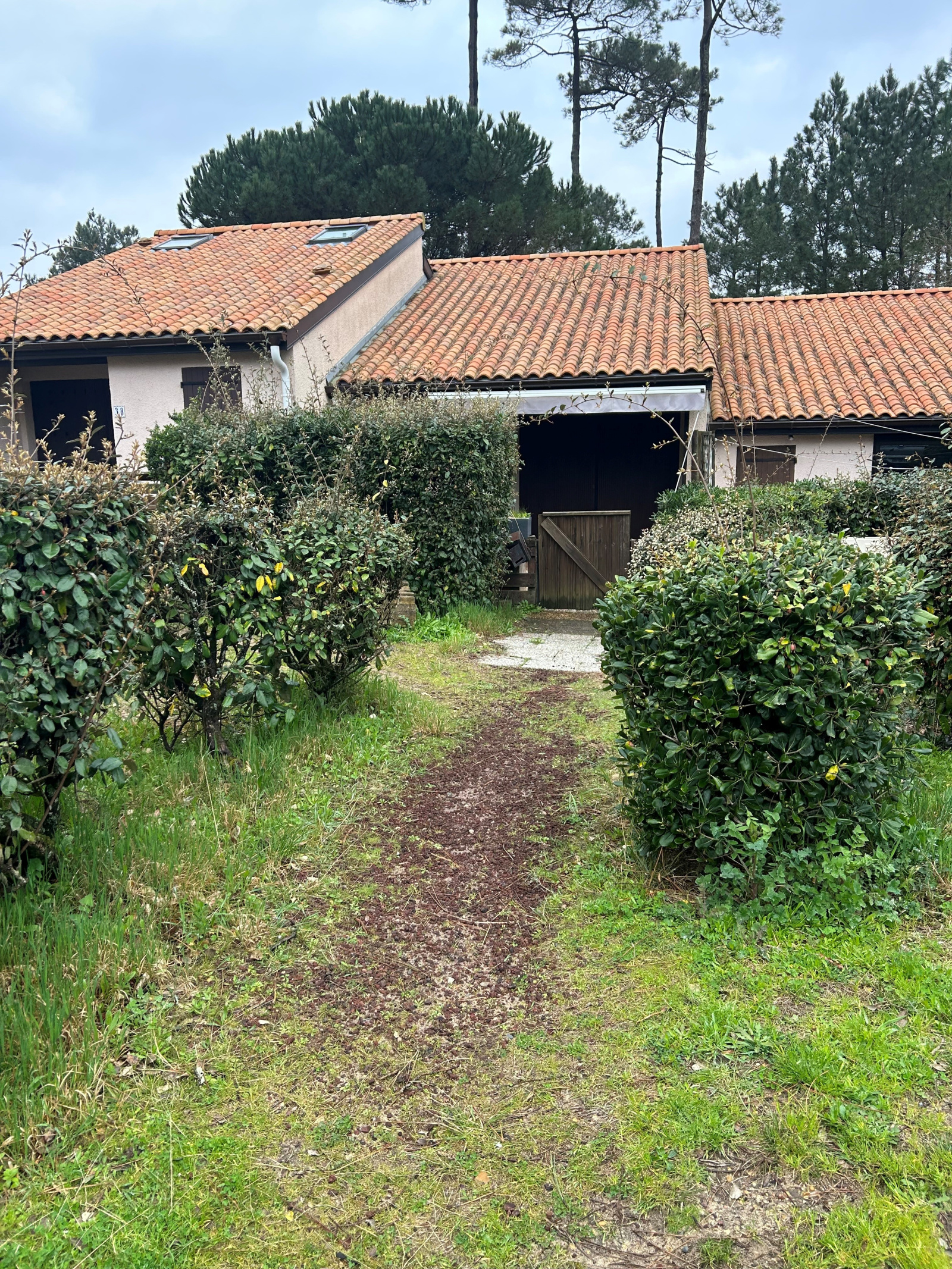 Image_, Appartement, Seignosse, ref :V10007106