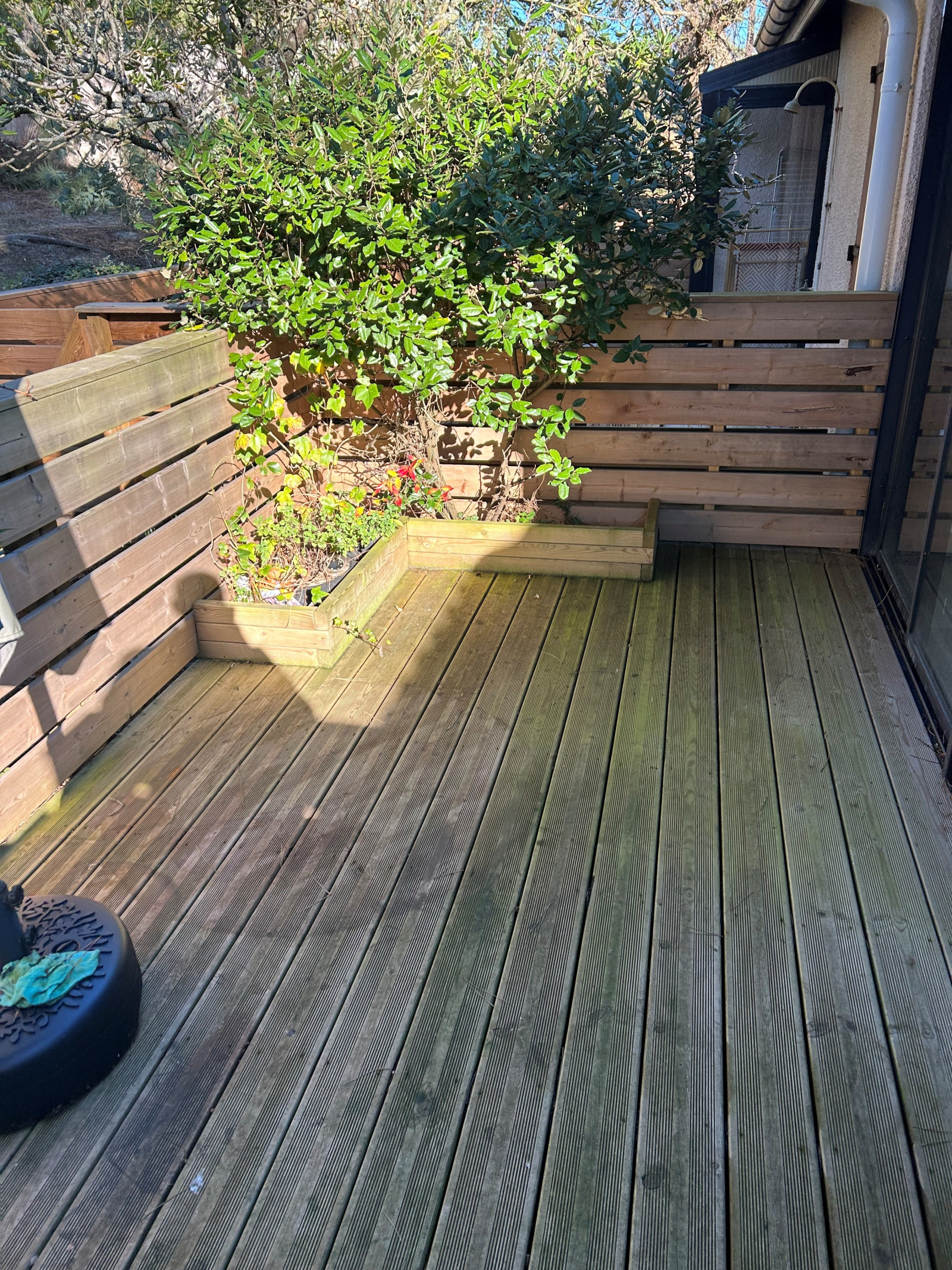 Image_, Appartement, Seignosse, ref :V10007106