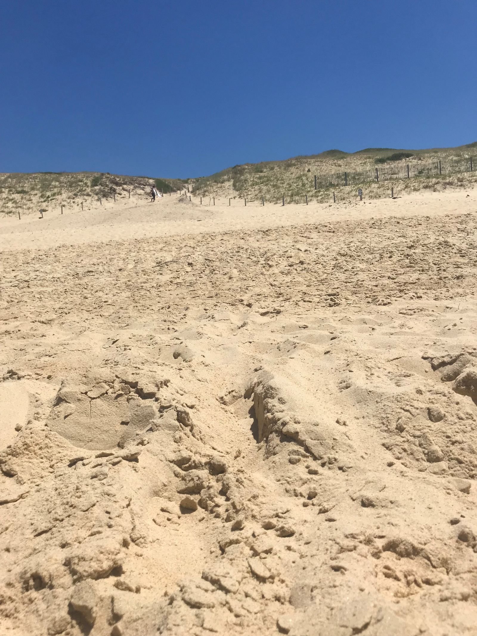 Image_, Appartement, Seignosse, ref :V10007106