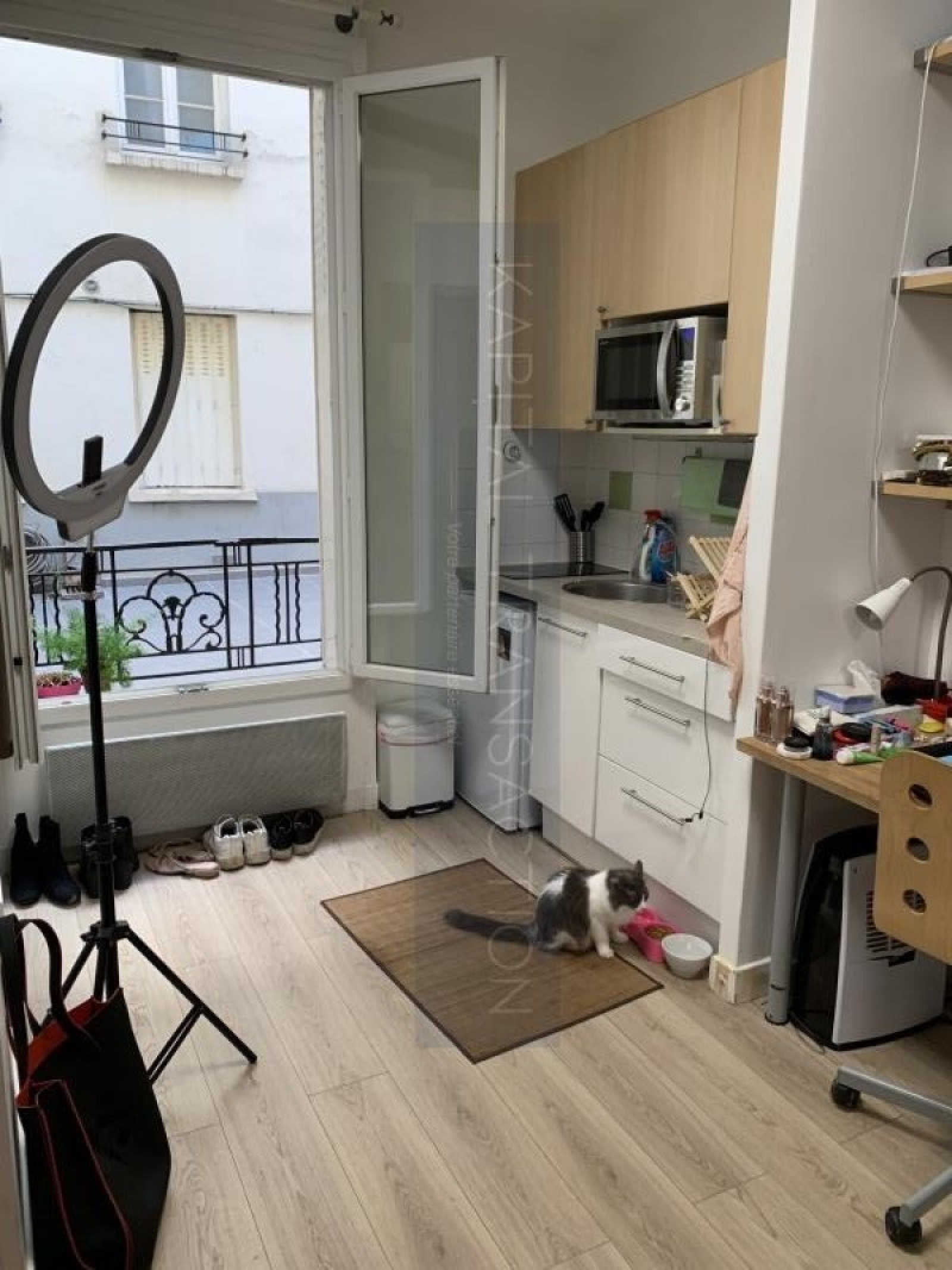 Image_, Appartement, Paris, ref :02119