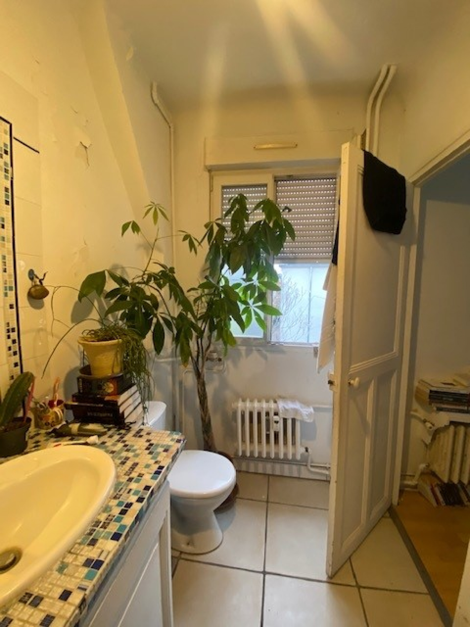 Image_, Appartement, Paris, ref :V50004578