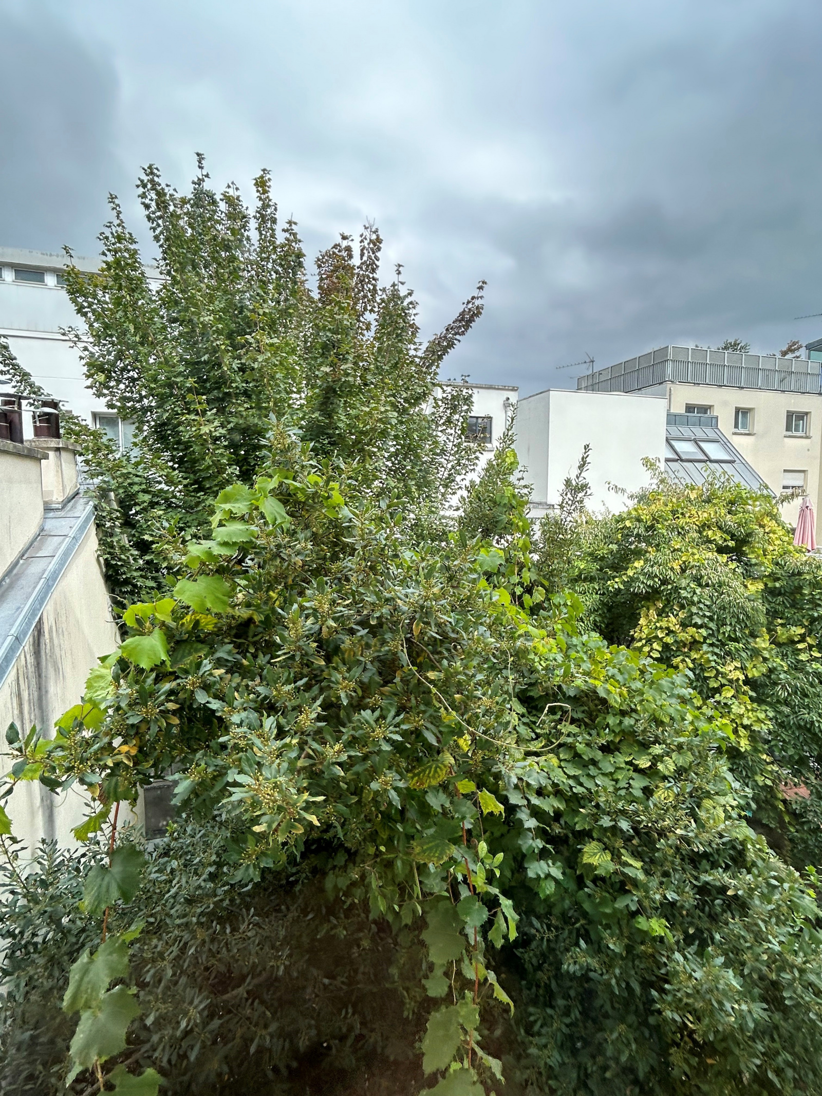 Image_, Appartement, Paris, ref :V10005602